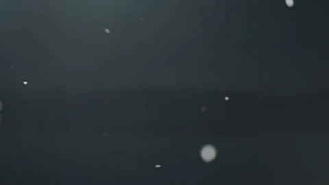 Quiet winter lakeside with snow falling and reflections shimmering. Tranquil Stock Footage 334795505