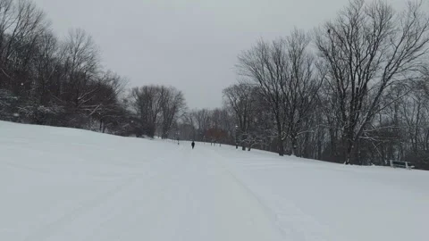 Quiet Winter Park Covered in Deep Snow Stock Footage 323423299