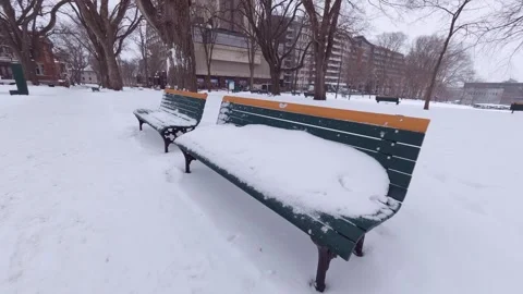 Quiet winter park with snow covered bench Stock Footage 323972663