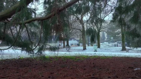 Quiet Winter Park Without People During Snowfall Stock Footage 328915979