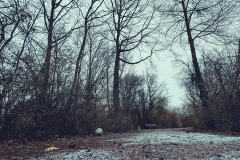 Quiet winter path between bare trees with a forgotten soccer ball resting o.. Foto stock