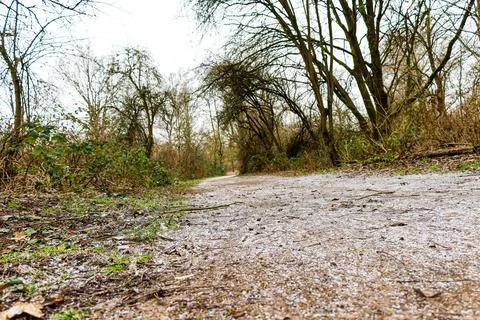 Quiet winter path through the forest with light frost illuminating the grou.. Stock Photos