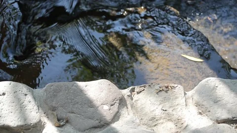 Quietly flowing river Stock Footage 94842565