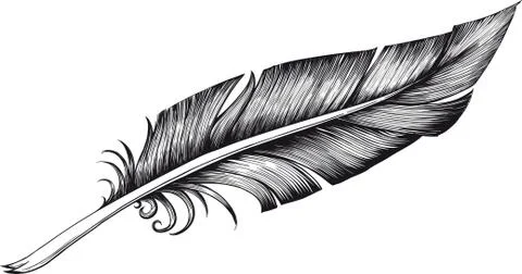 Quill pen Illustrazione stock