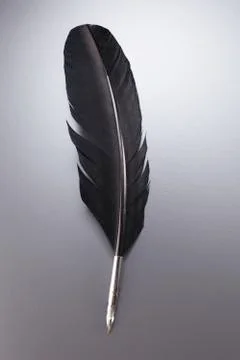 Quill pen Stock Photos