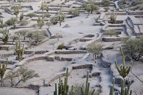 Quilmes Stock Photos