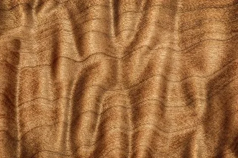 Quilted Grain Pattern On Big Leaf Maple Wood Natural Abstract Stock Photos
