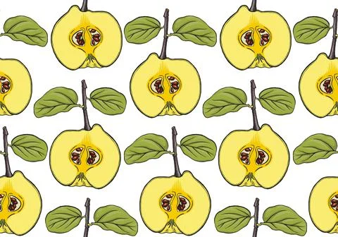 Quince apple fruit, seamless pattern. Drawing of half of ripe raw quince Stock Illustration