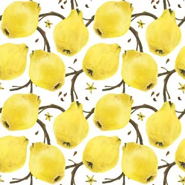 Quince branches seamless pattern Stock Illustration