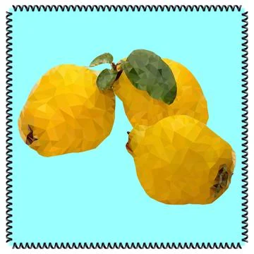 Quince in a frame. Low Poly. Stock Illustration
