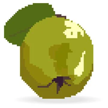 Quince fruit Stock Illustration