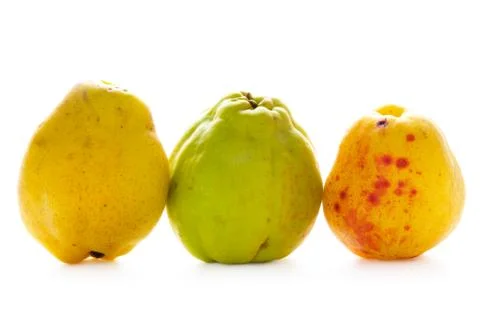 Quince fruit isolated Stock Photos