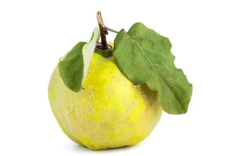 Quince fruit Stock Photos