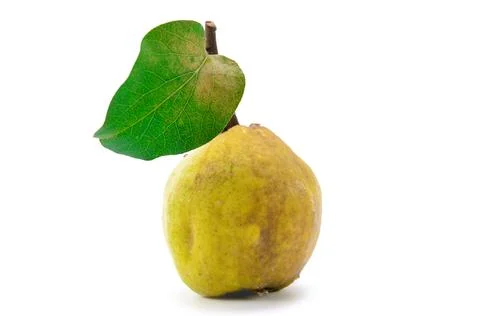 Quince fruit Stock Photos