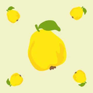 Quince fruit seamless for pattern fabric, simple quince fruit cute repeat i.. イラスト素材