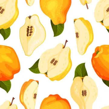 Quince Fruit Seamless Pattern with Ripe Crop Vector Template Stock Illustration