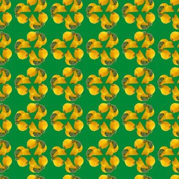 Quince Stock Illustration