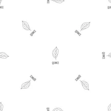 Quince leaf pattern seamless vector 库存插图