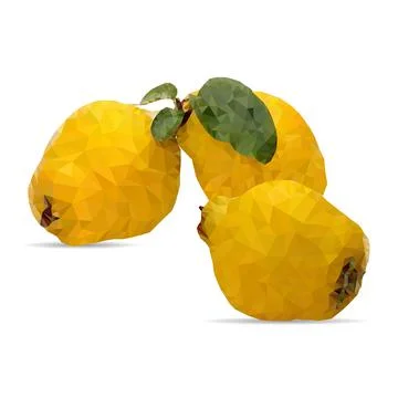 Quince Low Poly. Stock Illustration