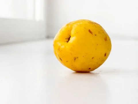 The Quince. Stock Photos