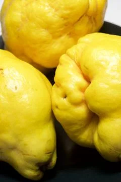 Quince Фото