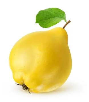 Quince Stock Photos