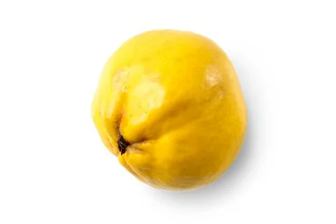 Quince Stock Photos