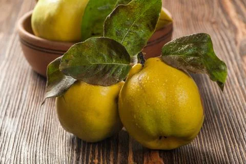 Quince Stock Photos