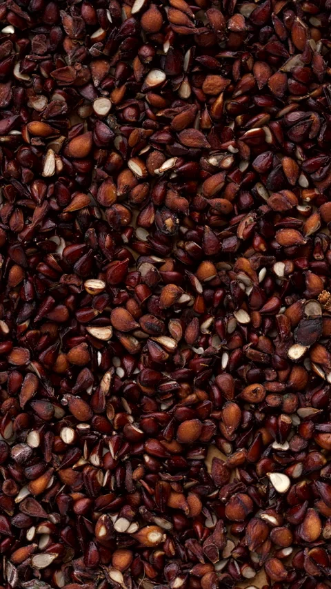 Quince seeds background pattern. Vertical video. Stock Footage 283451019