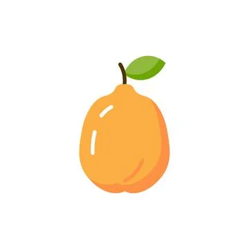 Quince vector flat icon. Quince fruit illustration food design Stock Illustration