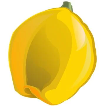 Quince. Vector. Leaf. Garden fruit. Ripe. Vector illustration. Isolated objec Stock Illustration