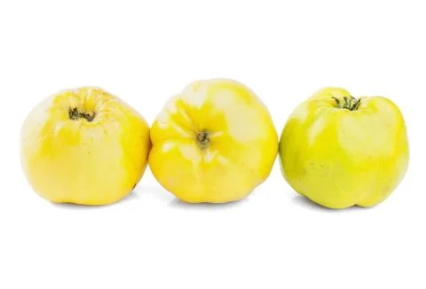 Quince on white background Stock Photos