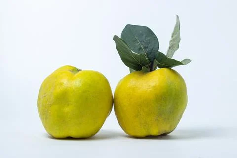 Quince on a white background Stock Photos
