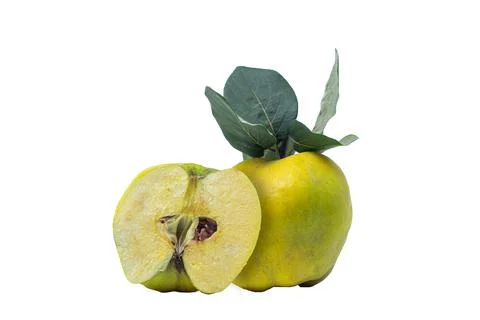 Quince on a white background Stock Photos