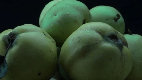 Quinces and pears 動画素材 82009632