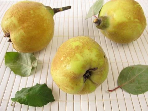 Quinces Stock Photos