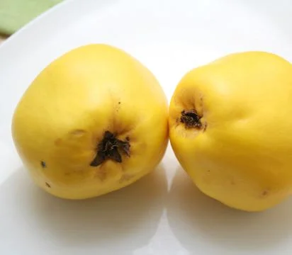 Quinces Stock Photos