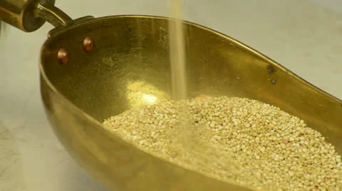 Quinoa, cereal of the incas Stock Footage 25112805