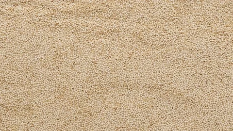 Quinoa is a cereal. Quinoa - background. Stock Footage 142230989