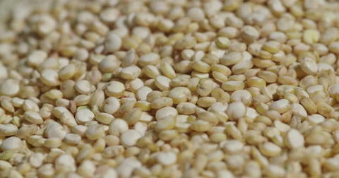 Quinoa Close Up Spin Uncooked Stock Footage 64974297