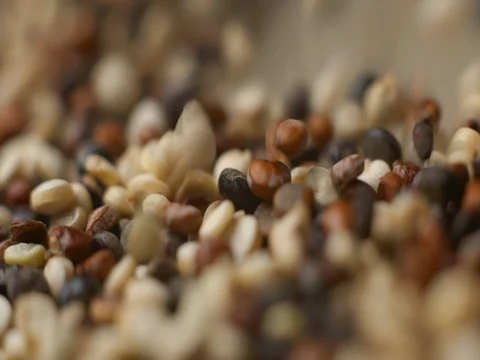 Quinoa falling slowmotion studio‚ orginal file: 4K DCI, PRO RES 444, 12 bits Stock Footage 82040942