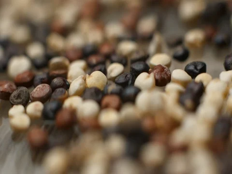 Quinoa falling slowmotion studio‚ orginal file: 4K DCI, PRO RES 444, 12 bits Stock Footage 82041391