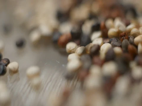 Quinoa falling slowmotion studio‚ orginal file: 4K DCI, PRO RES 444, 12 bits Stock-Footage 82042423