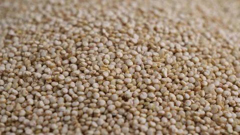 Quinoa grains Stock Footage 252984788