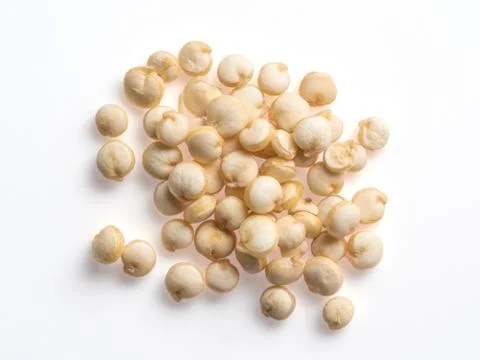 Quinoa isolated 스톡 사진