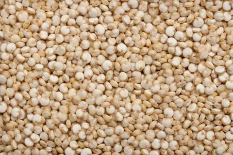Quinoa Stock Photos