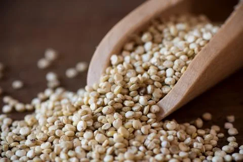 Quinoa Stock Photos