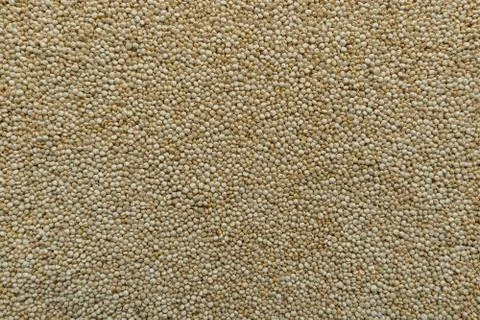 Quinoa Stock Photos
