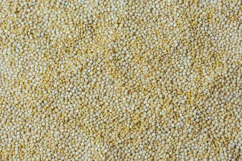 Quinoa Stock Photos