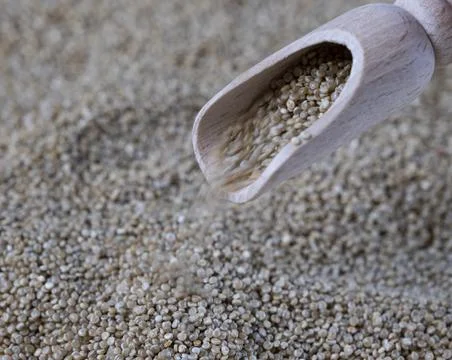 Quinoa real, close up Stock Photos